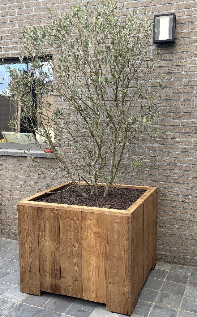 Plantenbak van Thermowood - nu met 10%korting, Nieuw, Ophalen of Verzenden, Balkon, Rijkevorsel