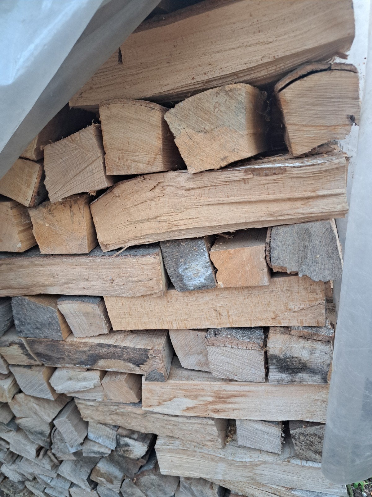 droog brandhout beuk en eik uit de stam.35 cm lang., 3 à 6 m³, Enlèvement ou Envoi, Hêtre, Bûches