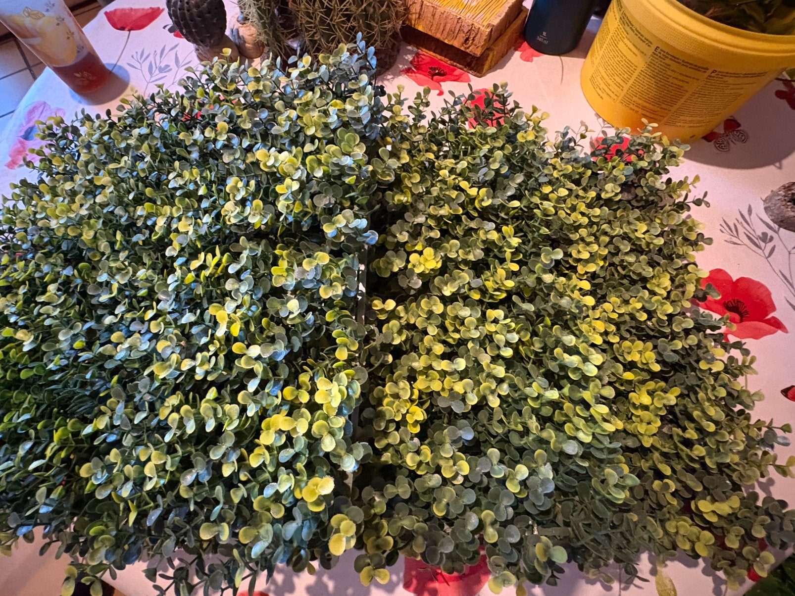 Pavé buisson fausse plante terrarium lire anonce, Ophalen, Zo goed als nieuw, Tak, Plant, Rots of Steen