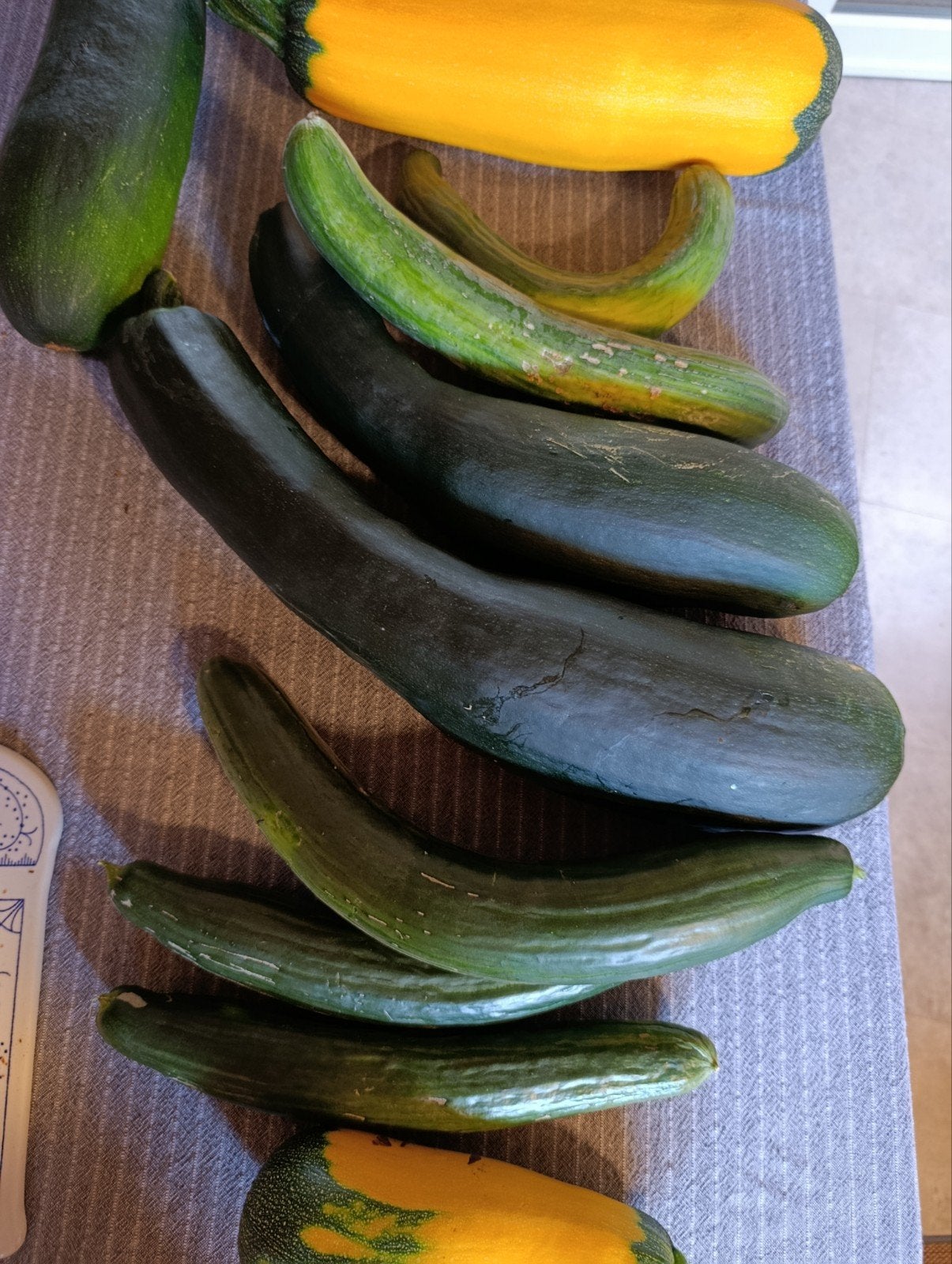 Courgettes, concombres, Tuin en Terras, Plantenvoeding, Ophalen