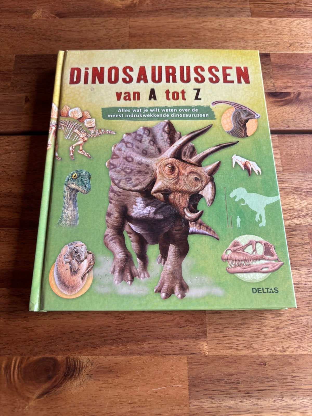Dinosaurussen van A tot Z, Boeken, Avontuur en Actie, Zo goed als nieuw, Ophalen of Verzenden