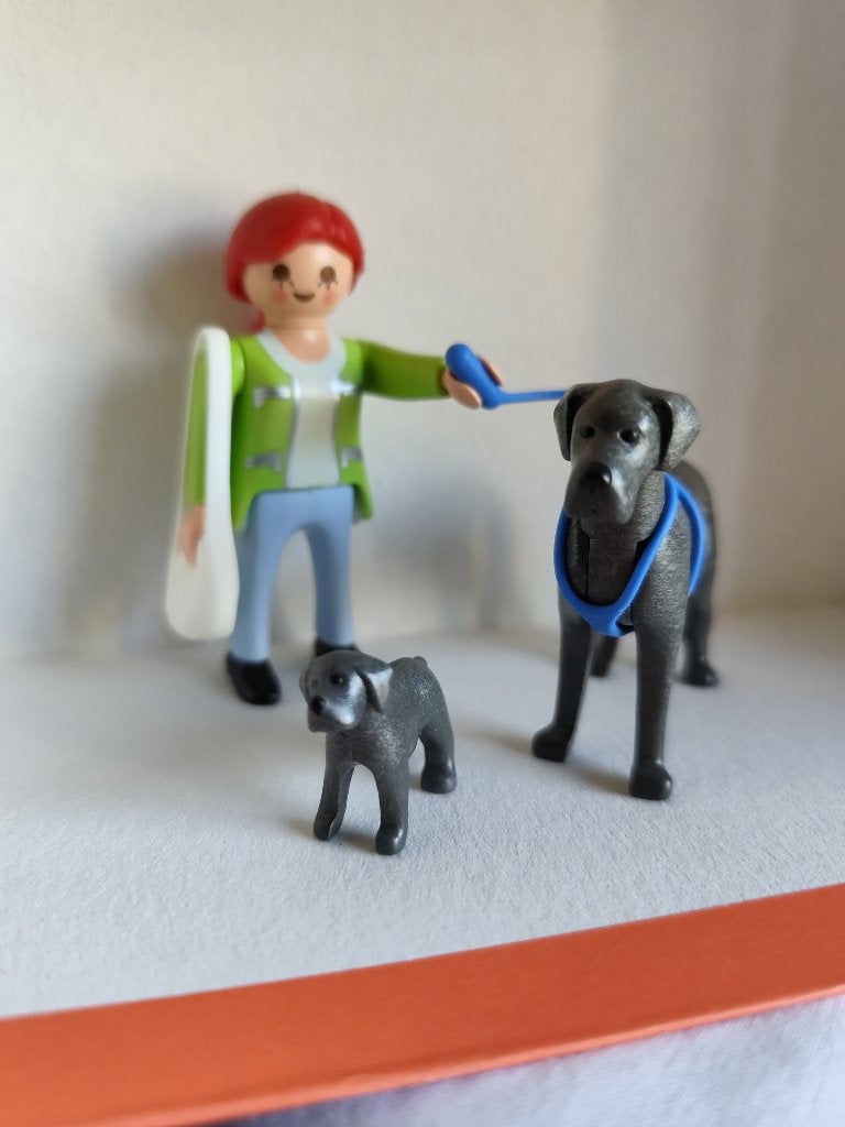 Playmobil 5210 - Deense dog met puppy, Ophalen, Gebruikt, Complete set, City life