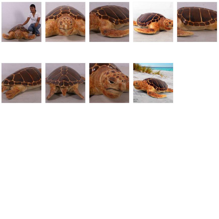 Loggerhead Turtle – Schildpad beeld Lengte 119 cm, Verzamelen, Ophalen, Nieuw