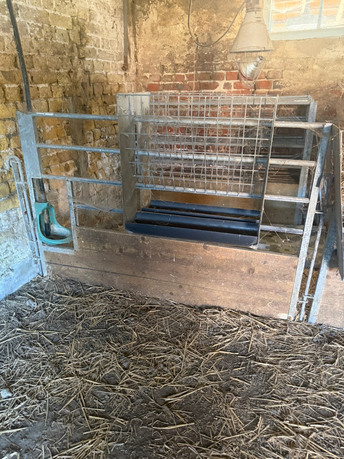 Veno schapen en heiten hekkens met hooiruif en voederbak