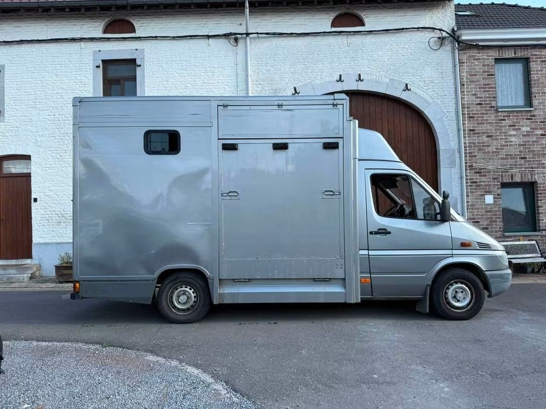 Camion chevaux à vendre