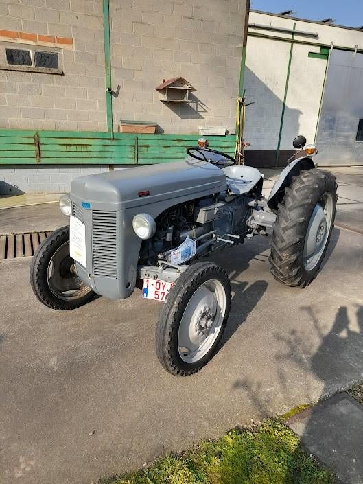 oldtimer tractor Ferguson TED 2   1953, Ophalen of Verzenden