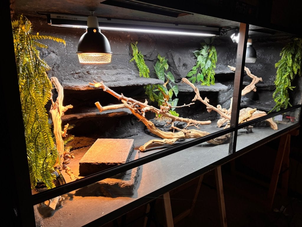 Stockmodel terrarium 200x70x70 FULL OPTION, Dieren en Toebehoren, Ophalen of Verzenden, Nieuw, Terrarium of Paludarium