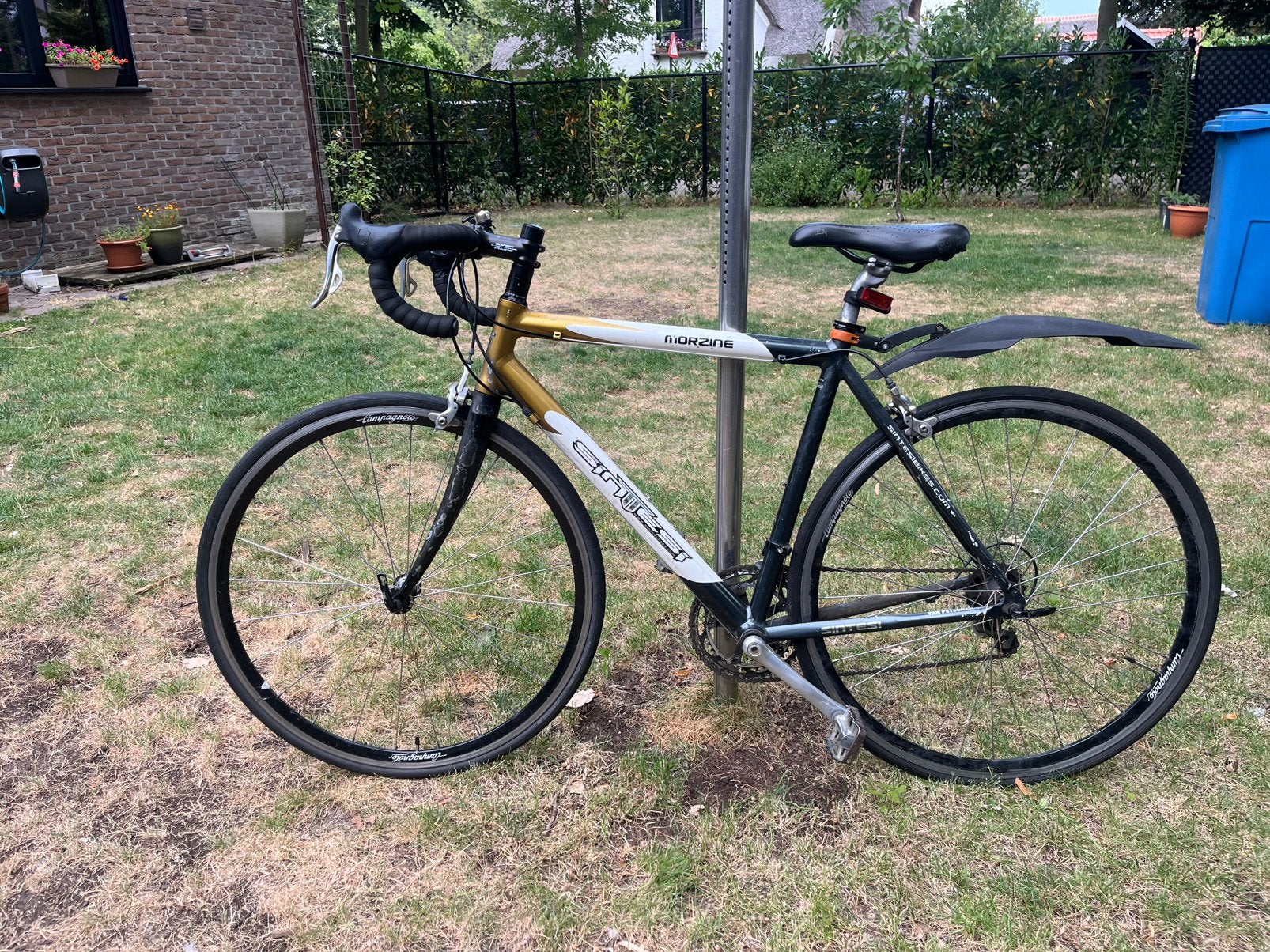 Sintesi racefiets dames, Fietsen en Brommers, Fietsen | Racefietsen, Ophalen of Verzenden, Dames