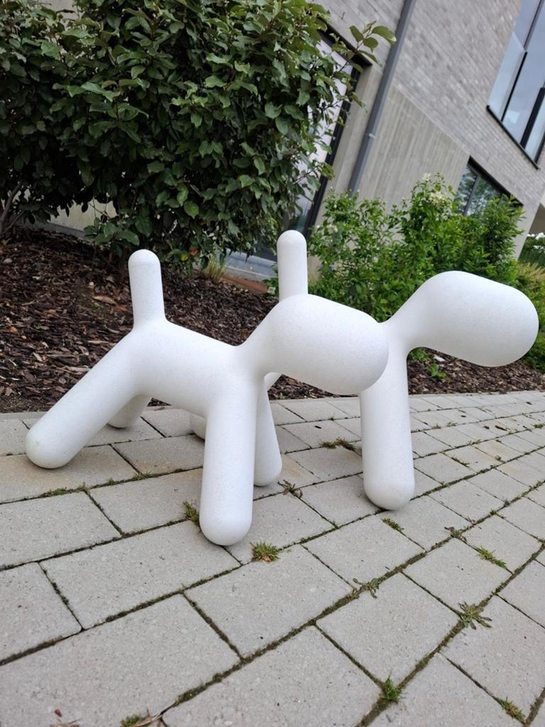 Set van 2 MAGIS puppy's, Ophalen