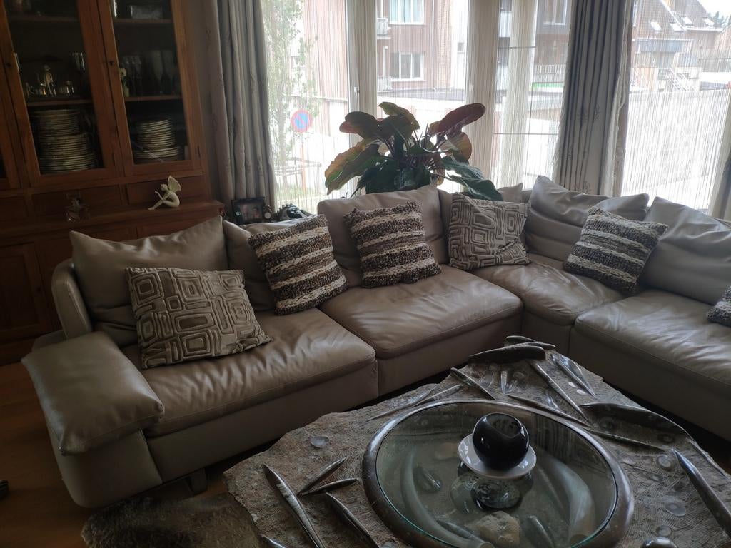 Natuzzi Leder Hoeksalon, Ophalen
