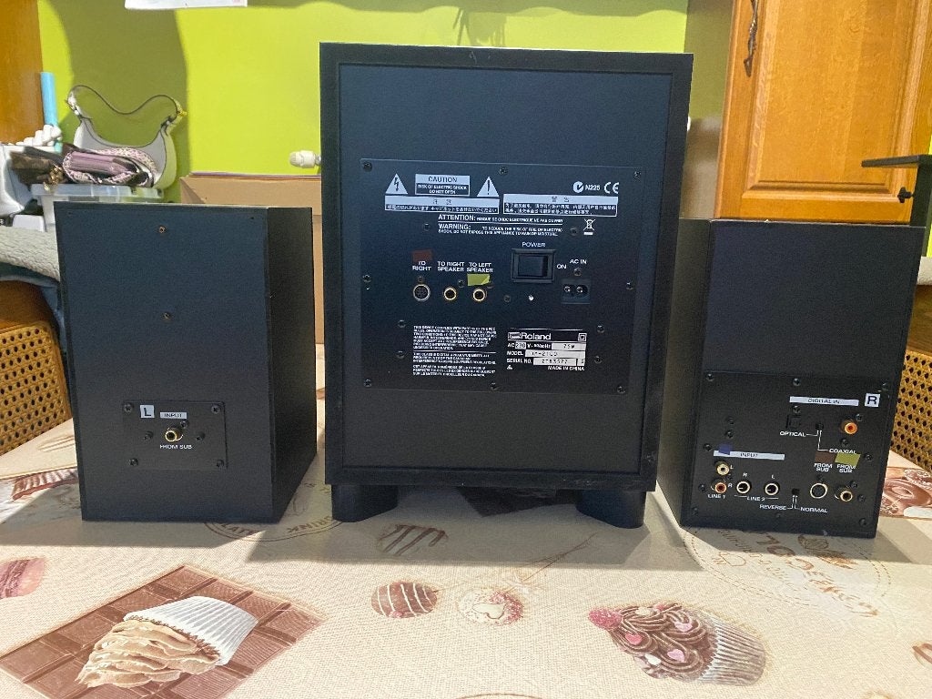 Roland DM-2100 Speakers, Ophalen, Gebruikt, Roland
