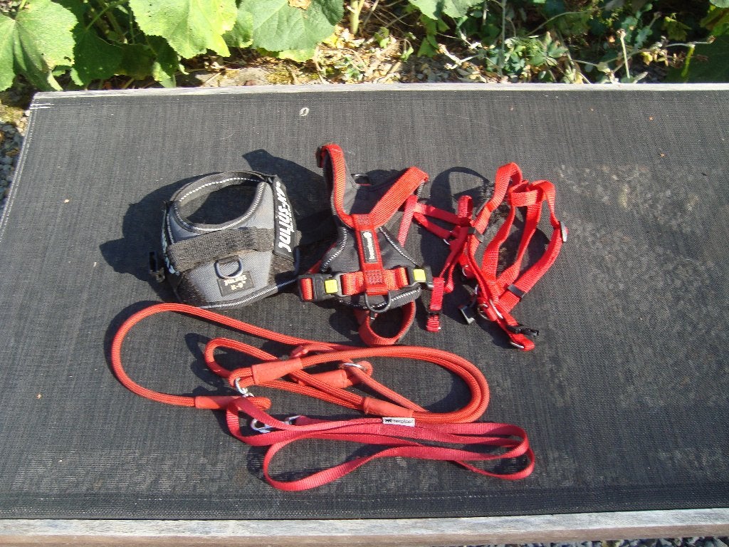 HARNAIS POUR CHIEN, Animaux & Accessoires, Enlèvement, Utilisé, Accessoires pour laisse pour chien
