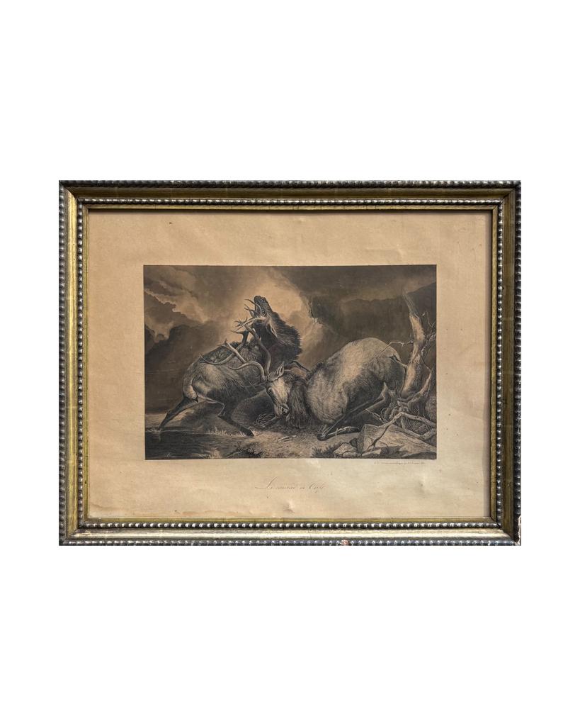 Gravure « Le combat de cerfs » de 1880, Enlèvement