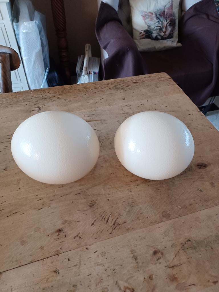 Paasdecoratie: struisvogeleieren vanaf 8 euro, Diversen, Ophalen of Verzenden
