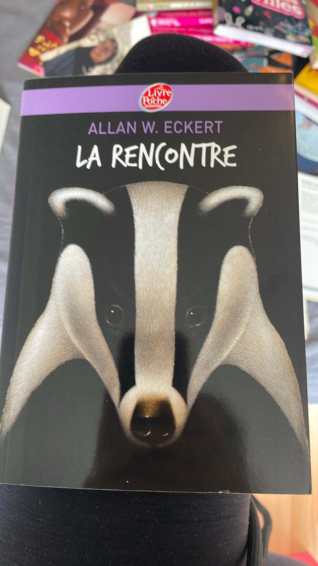 Livre « La rencontre » - Allan W.Eckert, Livres, Livres pour enfants | Jeunesse | 13 ans et plus, Enlèvement, Comme neuf, Fiction