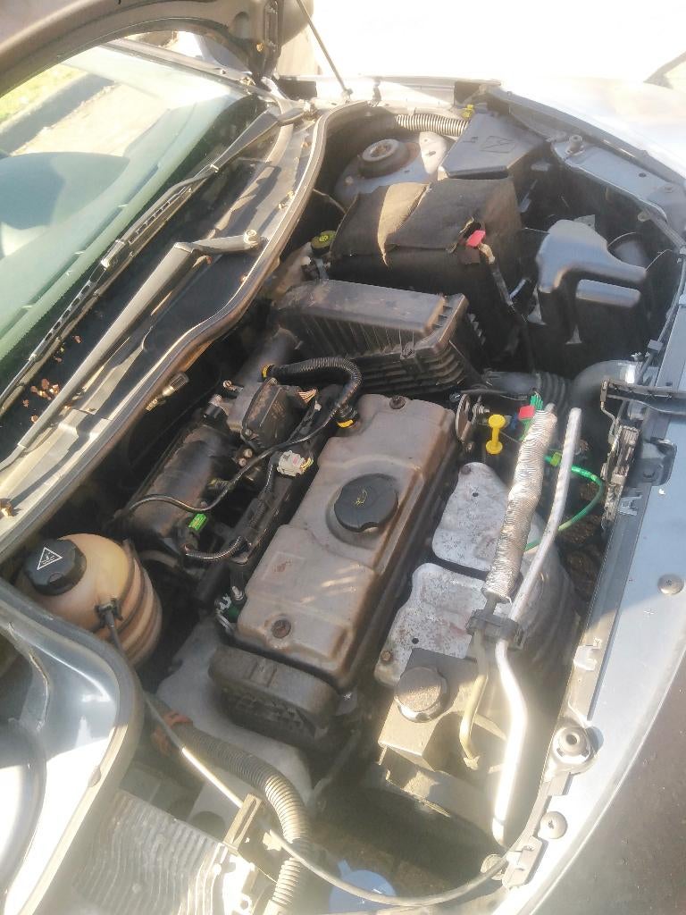 Peugeot 206+, Argent ou Gris, Achat, Boîte manuelle, 5 portes