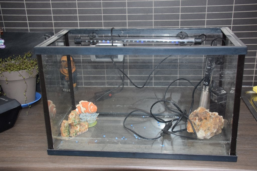 Aquarium, Ophalen of Verzenden, Gebruikt, Filter