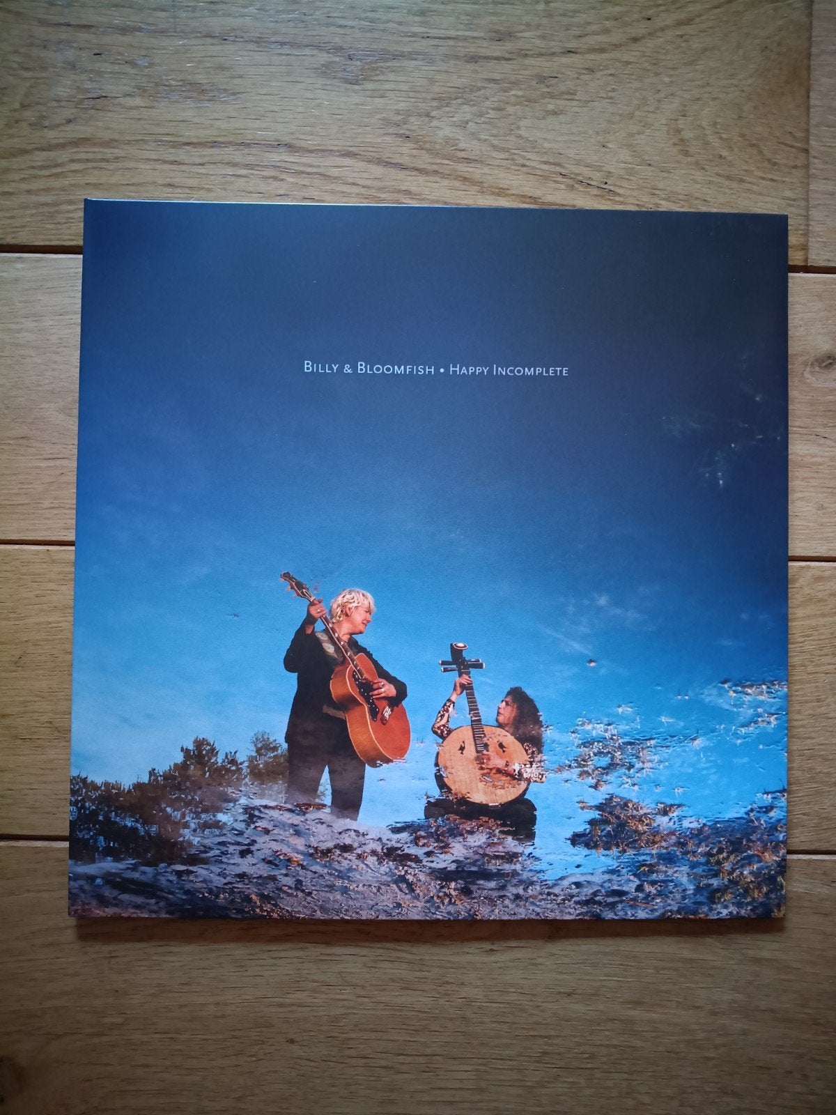 Vinyle 33T Billy & Bloomfish, LP, Enlèvement ou Envoi, Autres formats, Comme neuf