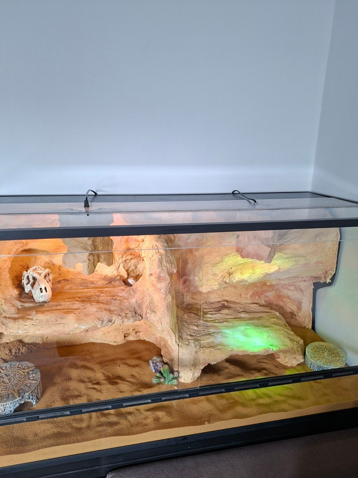 terrarium, Dieren en Toebehoren, Ophalen, Zo goed als nieuw, Terrarium of Paludarium