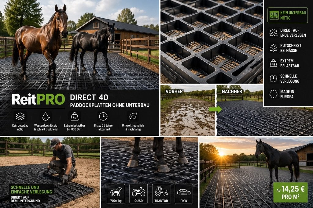 Paddockplaten voor paarden | Grasroosters en Weideplaten, Opfok