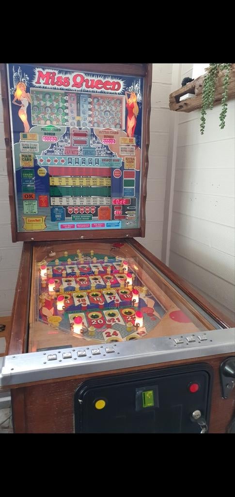 Technieker gezocht bingo Miss Queen, Verzamelen, Ophalen