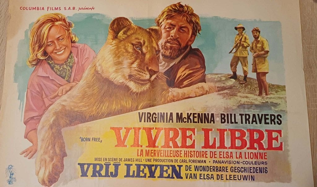 Affiche du film belge « Born Free », Collections, Enlèvement ou Envoi, Rectangulaire horizontal, A1 jusqu'à A3, Animal et Nature