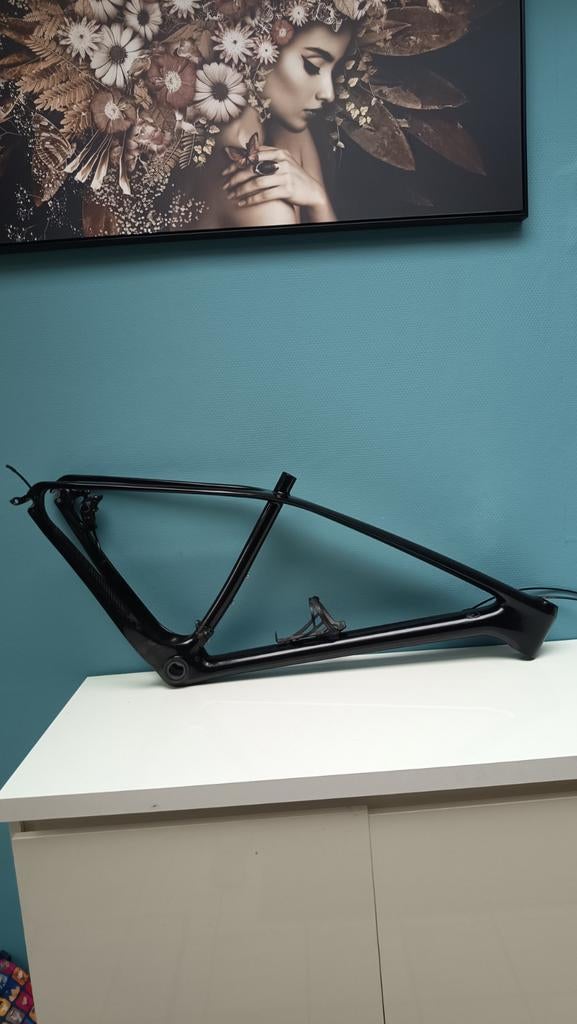 Carbon MTB frame 29er M, Fietsen en Brommers, Fietsaccessoires | Bagagedragers, Ophalen
