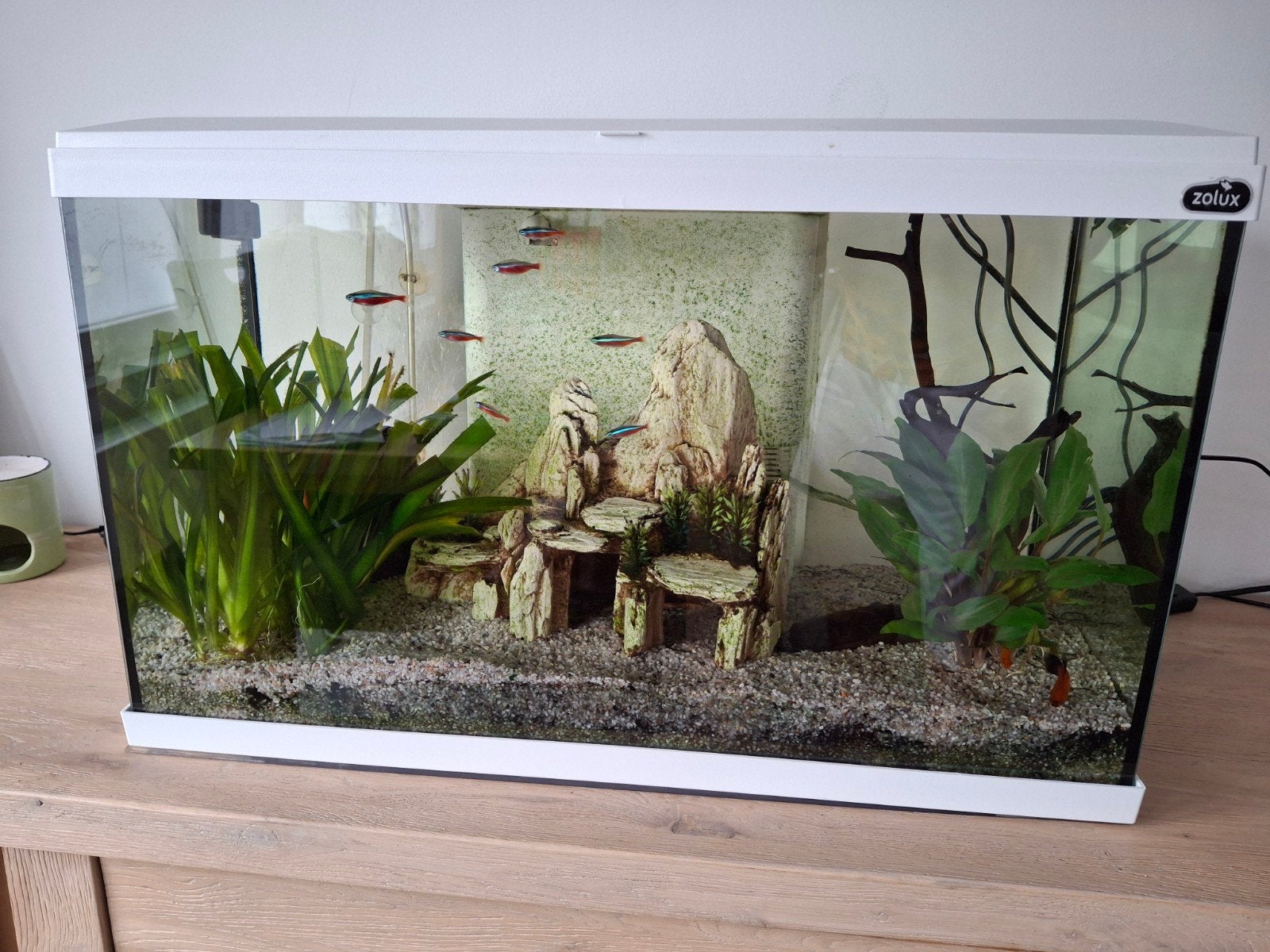 aquarium 60l complet, Dieren en Toebehoren, Ophalen, Pomp