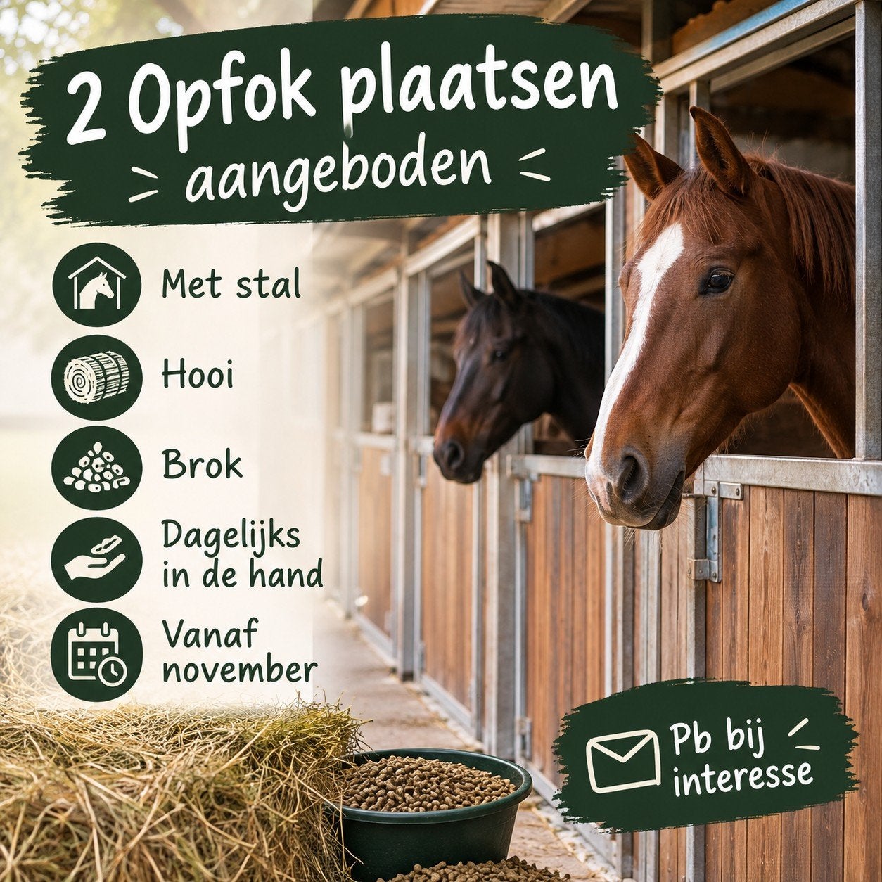 opfok plaatsen, Dieren en Toebehoren