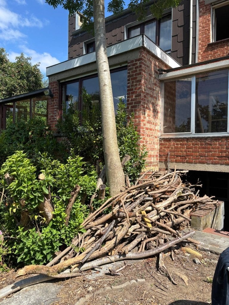 Brandhout, Tuin en Terras, Ophalen, Stammen