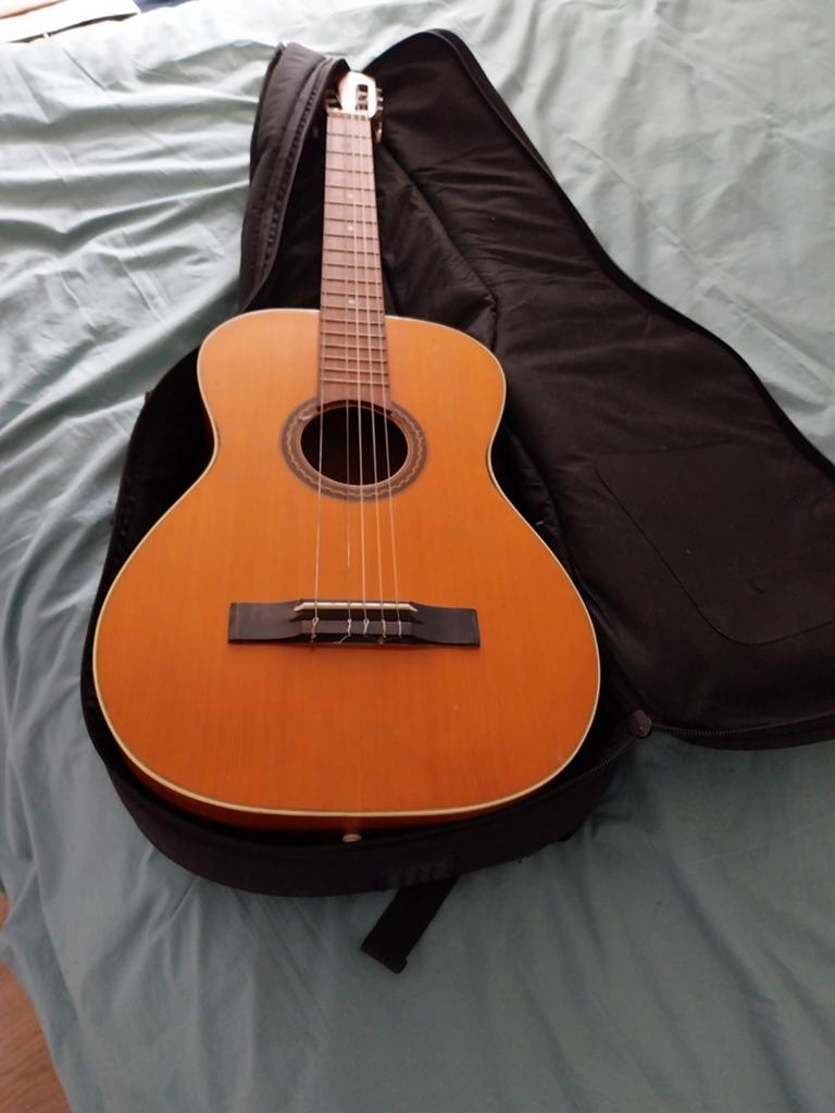 Gitaar Stagg, Ophalen