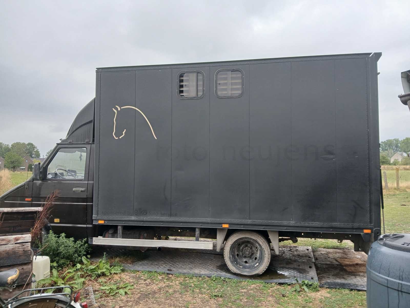 IVECO 1996 - 49.10.1 / 49.10 - Remorque à chevaux, Utilisé, Autres types