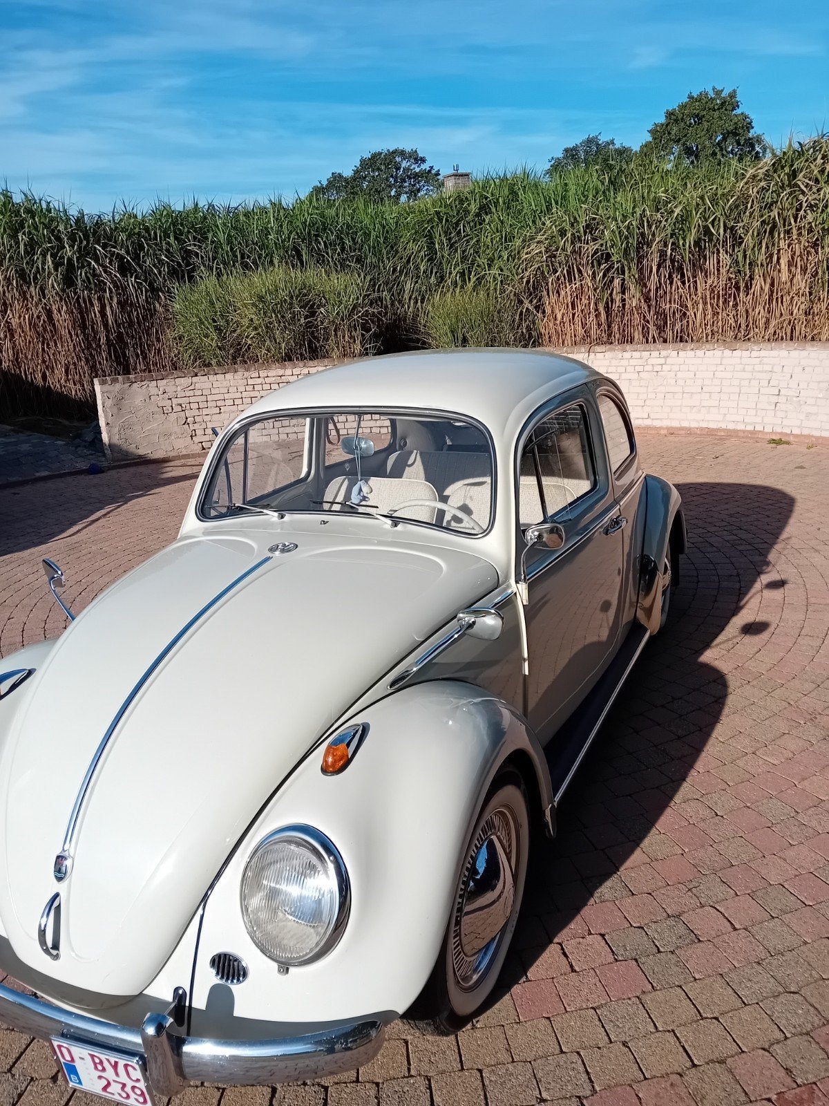 Volkswagen kever 1962 dickholmer, foto 11