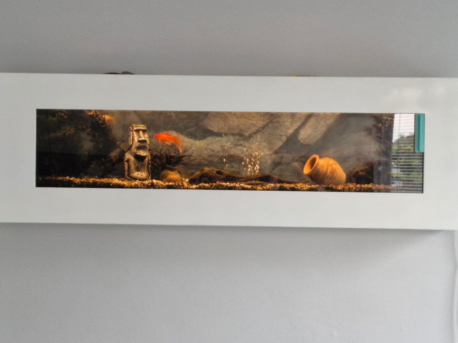 Panoramisch aquarium, Enlèvement