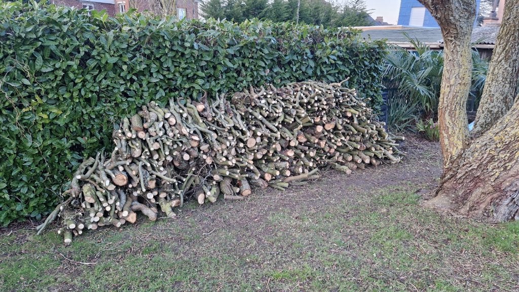 Wilgenhout 2m³, Tuin en Terras, Minder dan 3 m³, Ophalen, Overige houtsoorten, Blokken