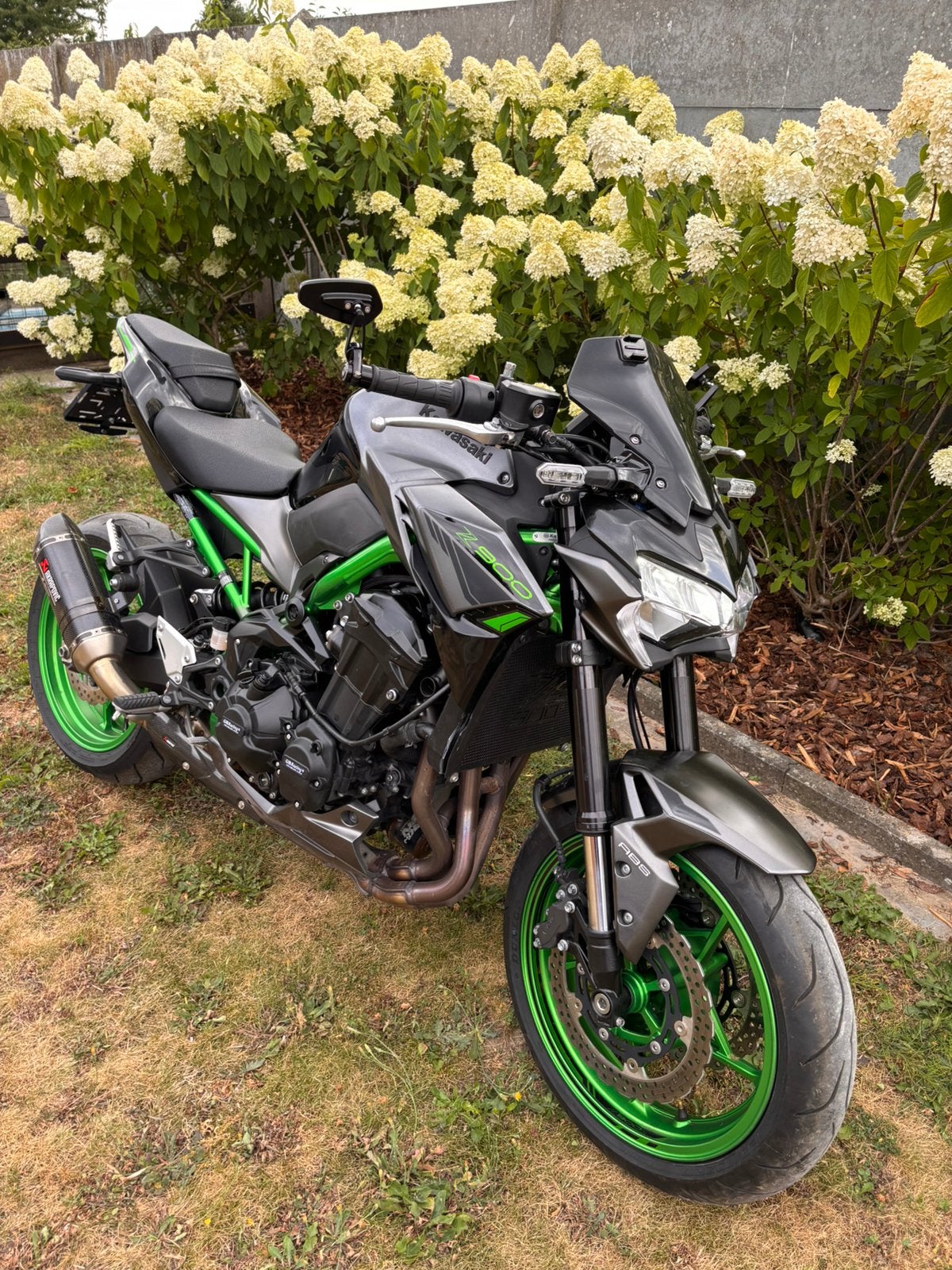 Z900 2023 5900 km, Motoren, Motoren | Kawasaki, 4 cilinders, Gebruikt, 900 cc, Meer dan 35 kW