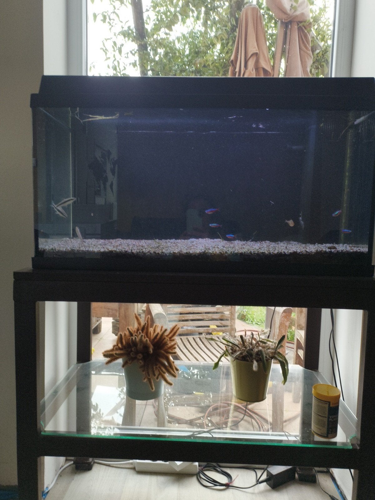 grote warmwater aquarium jewell, Dieren en Toebehoren, Ophalen, Gebruikt