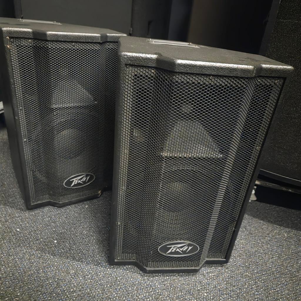 PEAVEY  Tri-flex  monitoren / tops   10 inch, Ophalen of Verzenden