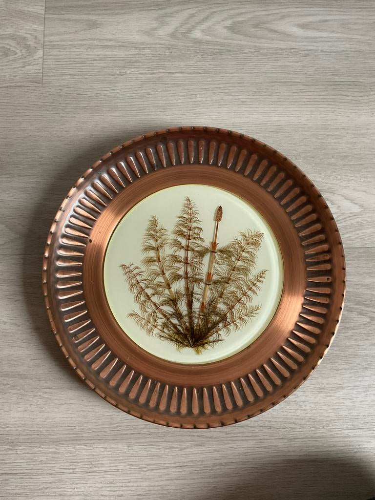 Koperen wandbord met glas, Antiek en Kunst, Ophalen of Verzenden