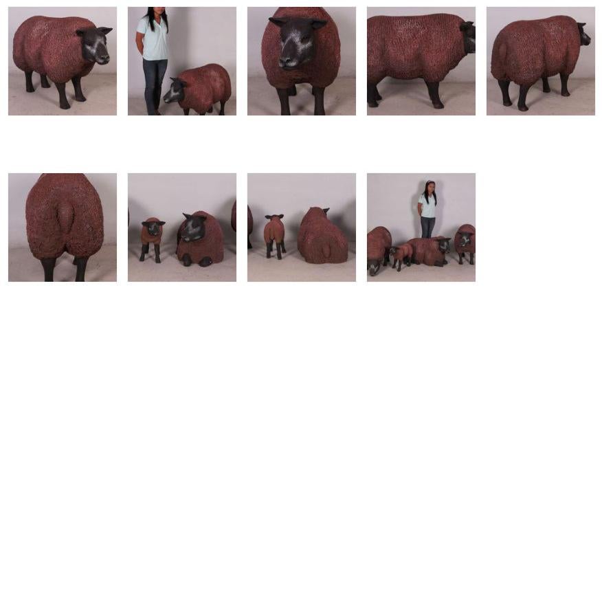 Texelaar-Head Up – Schaap beeld Lengte 103 cm, Ophalen, Nieuw
