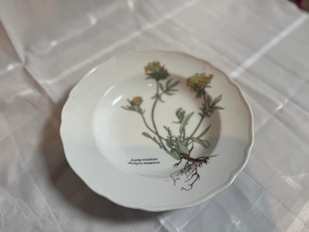 Vintage Villeroy & Boch Botanica los bord – “Echter Wundklee, Ophalen of Verzenden