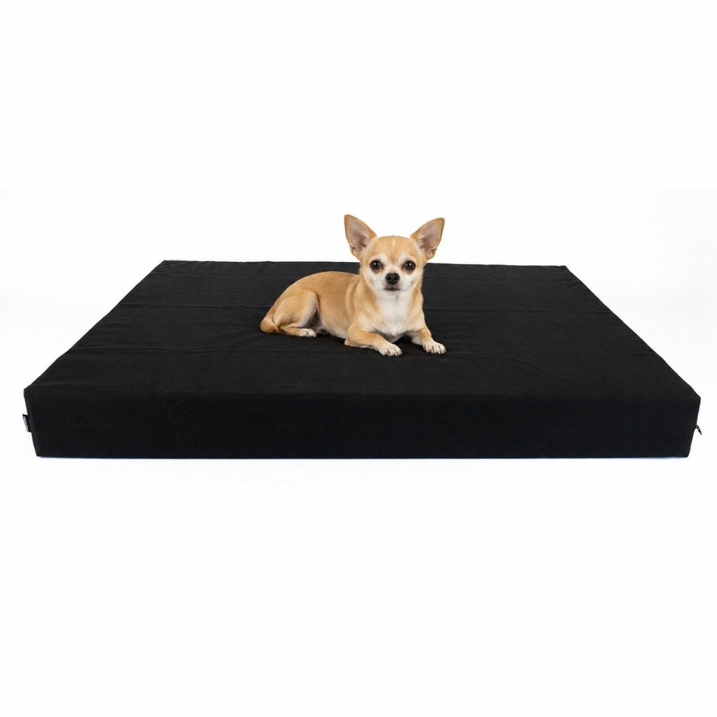 Panier orthopédique pour chien taille S - Chihuahua, Envoi, Neuf, Polyester
