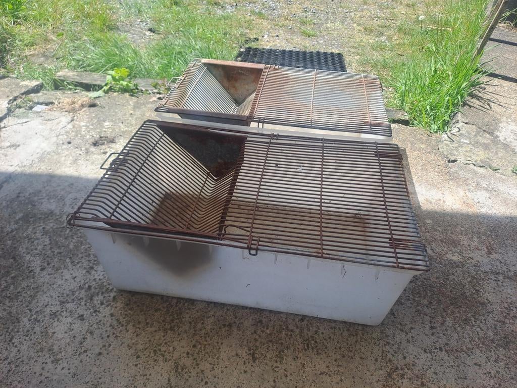 2 kweekbakken ratten , enkel per 2 te koop 35 € per 2, Dieren en Toebehoren, Ophalen