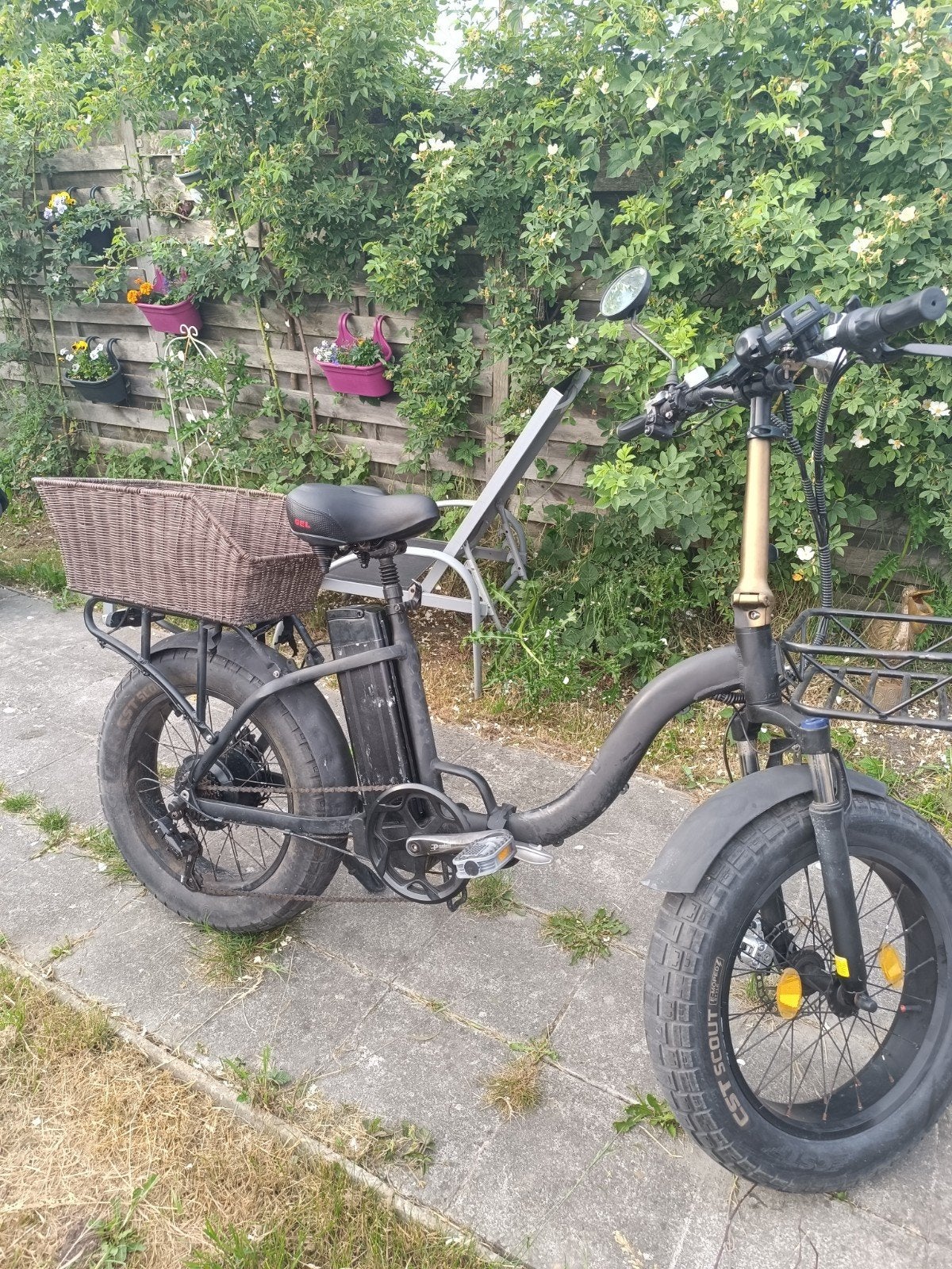 Elektrische fiets met handmatig gas geven. Max snelheid 47km, Fietsen en Brommers, Ophalen