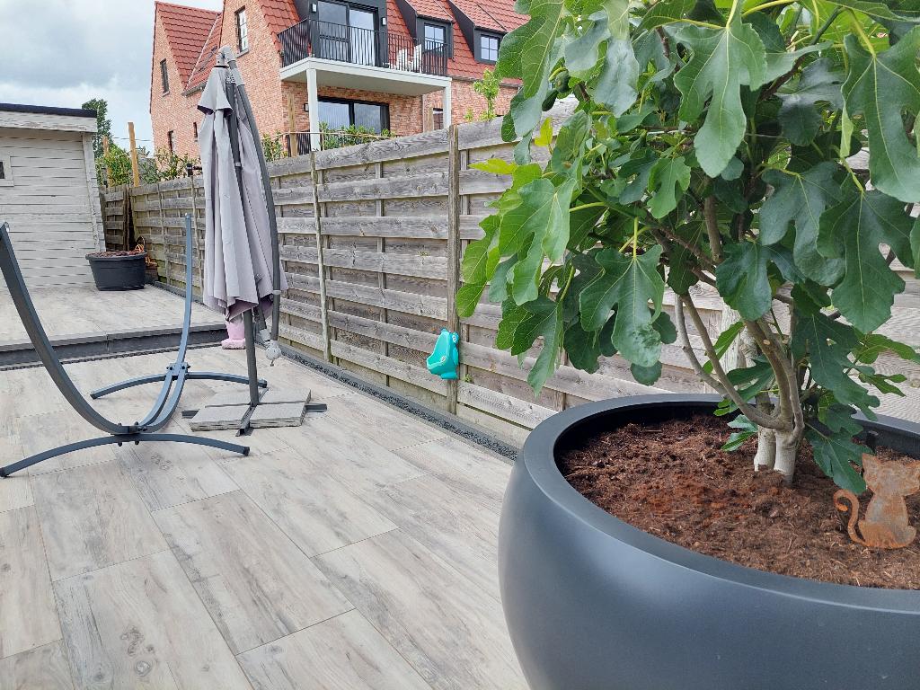 Houten afluiting(tuinscherm), Jardin & Terrasse, Palissades, Comme neuf, Bois, 1 à 2 mètres, 6 mètres ou plus, Enlèvement