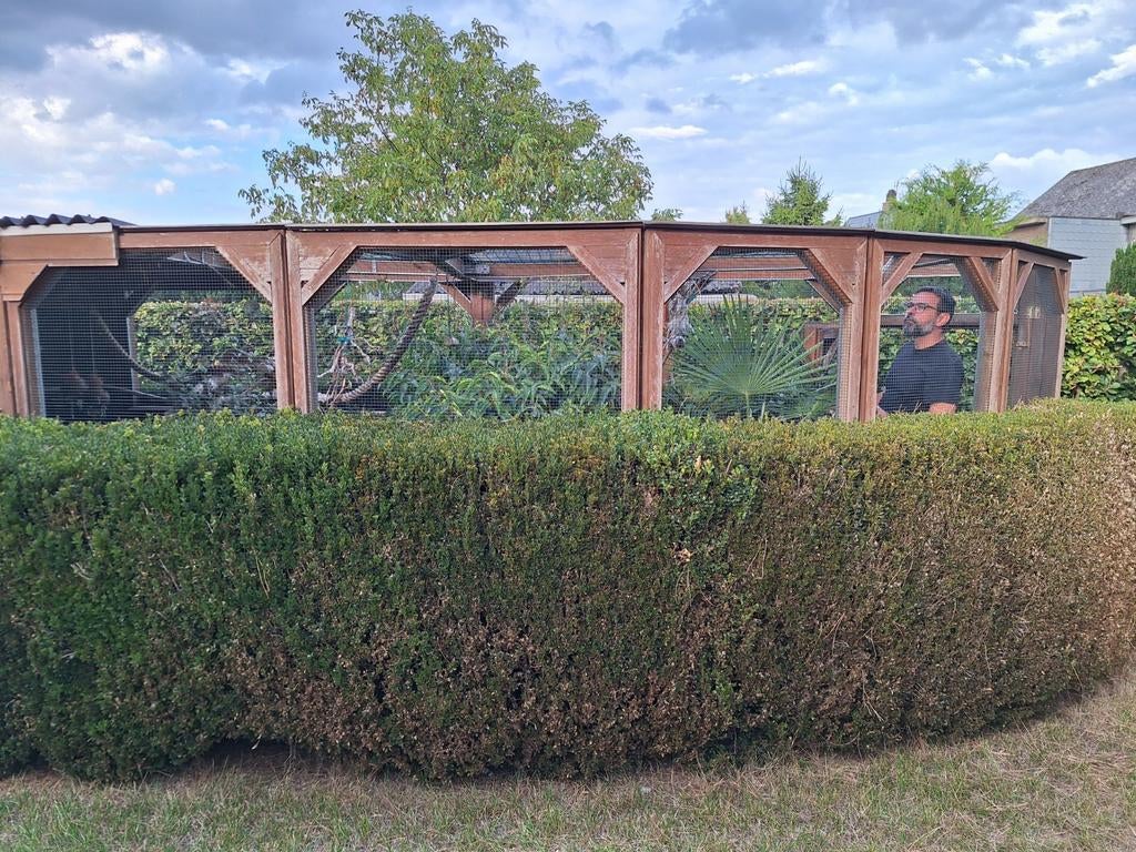 Grote houten volière te koop -  H 1,80 L +/_ 7m, Dieren en Toebehoren, Ophalen, Hout, Volière