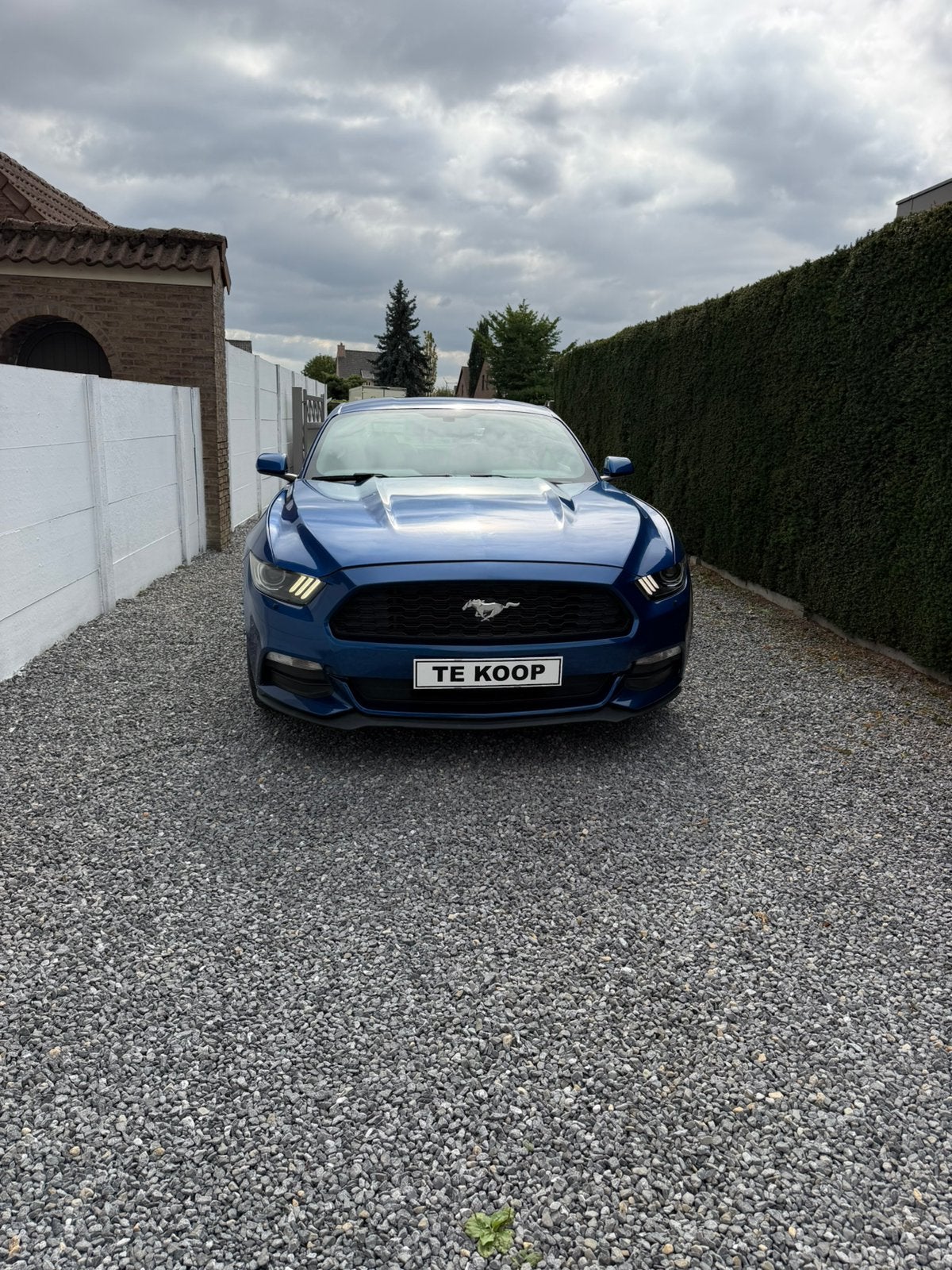 FORD MUSTANG 3.7 v6 - BTW WAGEN - TOPOCCASIE, Auto's, Automaat, 4 zetels, Blauw, Leder en Stof