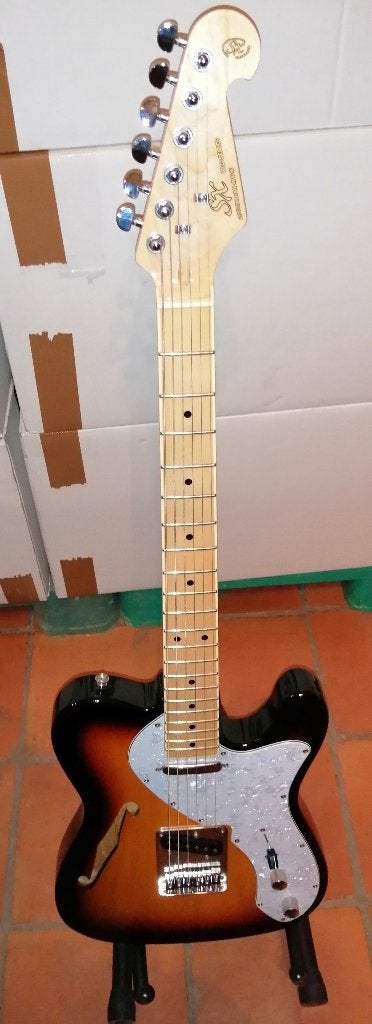 Thinline + koffer, Musique & Instruments, Instruments à corde | Guitares | Électriques, Enlèvement, Comme neuf, Hollow body, Autres marques