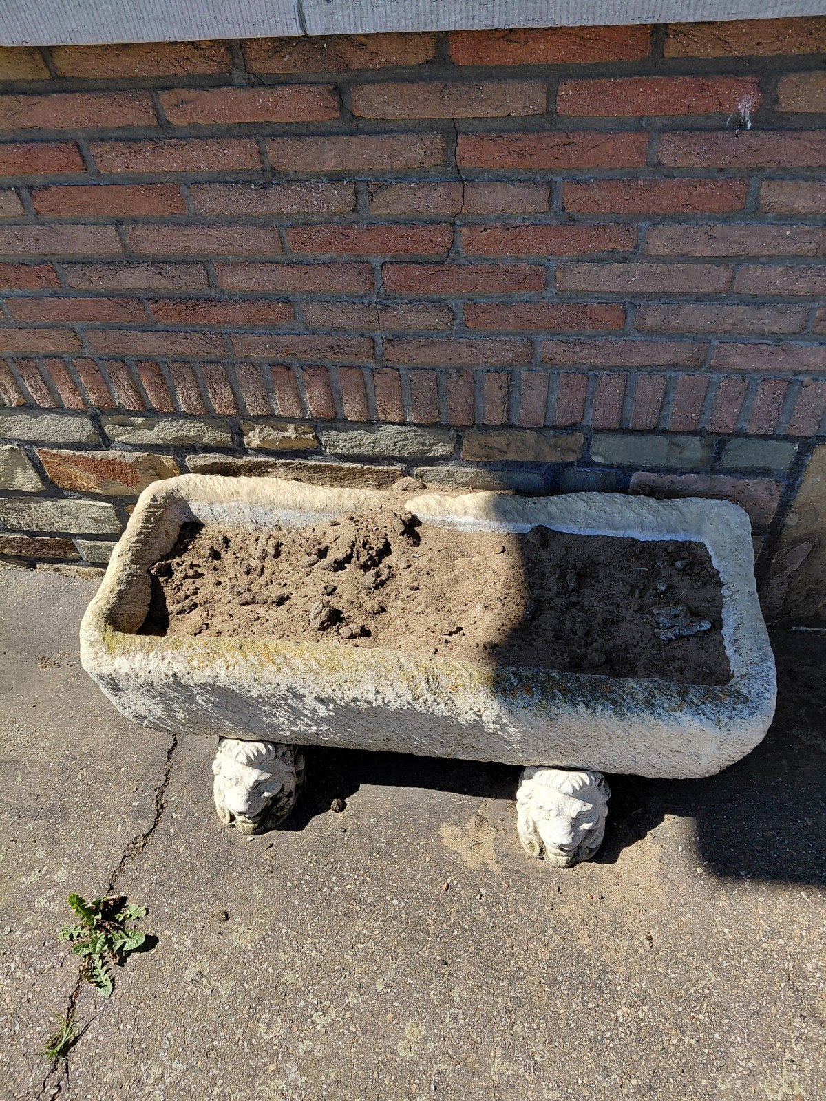 bloembak, Tuin en Terras, Ophalen