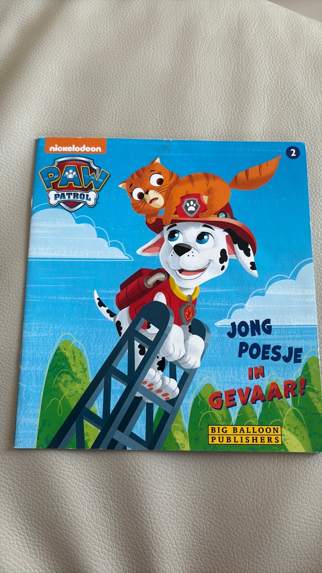 Paw Petrol - Jong poesje in gevaar, Ophalen of Verzenden, Zo goed als nieuw